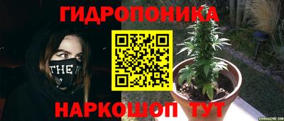 гидропоника Заволжье