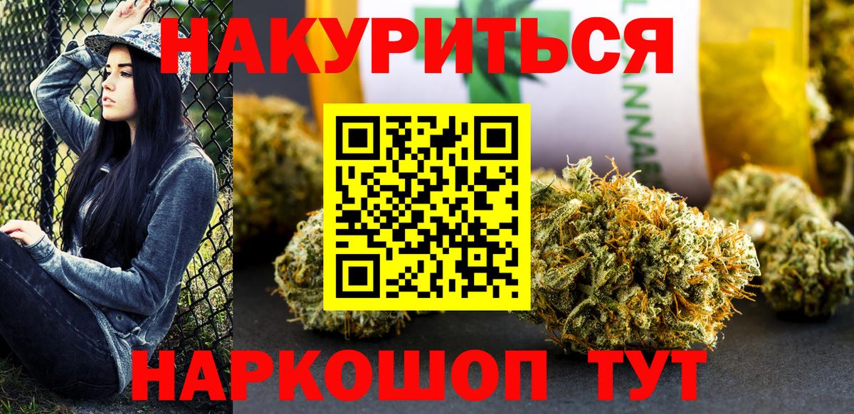 Конопля сатива Надым